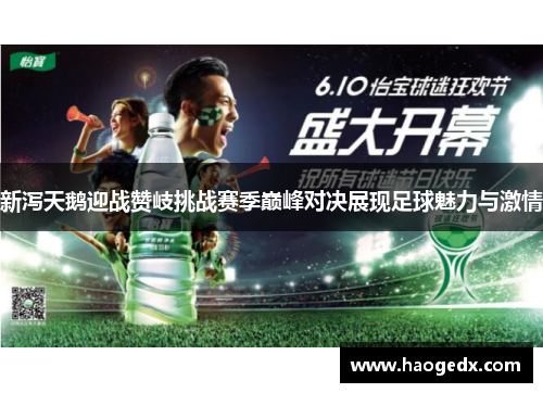 新泻天鹅迎战赞岐挑战赛季巅峰对决展现足球魅力与激情